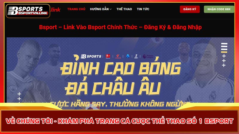 Về chúng tôi - Khám phá trang cá cược thể thao số 1 Bsport